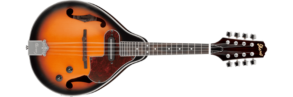 M510E Ibanez Wiki Fandom