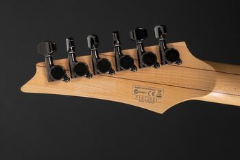 Ibanez RGA220Z CYB Prestige　フジゲン製 RGA220Z | Ibanez Wiki | Fandom