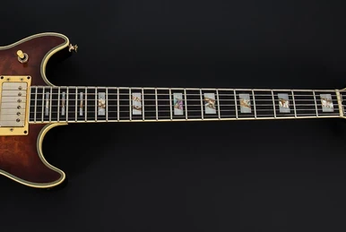 2617 | Ibanez Wiki | Fandom