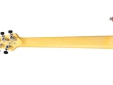 YY20