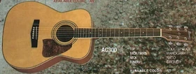 AC300