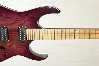 RG2920ZA | Ibanez Wiki | Fandom