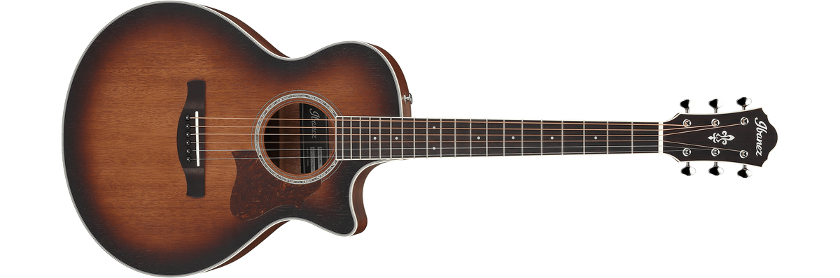 AE240JR Ibanez Wiki Fandom