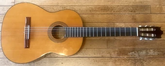 レア　不思議な日本製　８０年代　Terada　エレアコ　Washburn? s-l400.jpg