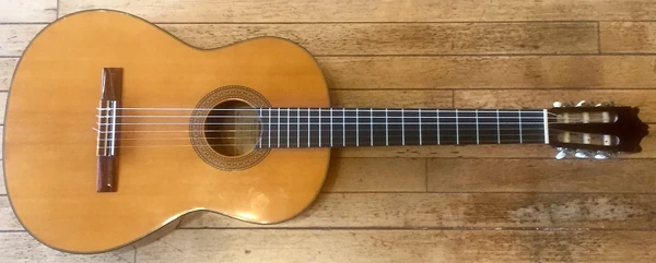 1981 Ibanez GA60-NT