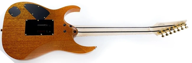 IKRG85271 | Ibanez Wiki | Fandom