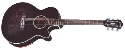 AEG450 | Ibanez Wiki | Fandom