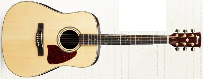 AW10 (2001–2008) | Ibanez Wiki | Fandom