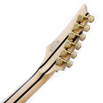 IKRG85701 | Ibanez Wiki | Fandom
