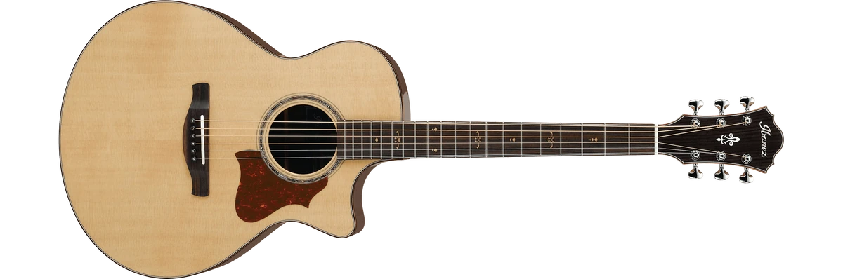 Ibanez ae519 エレアコ AE519 | Ibanez Wiki | Fandom