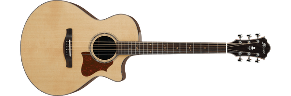 Ibanez ae900 discount