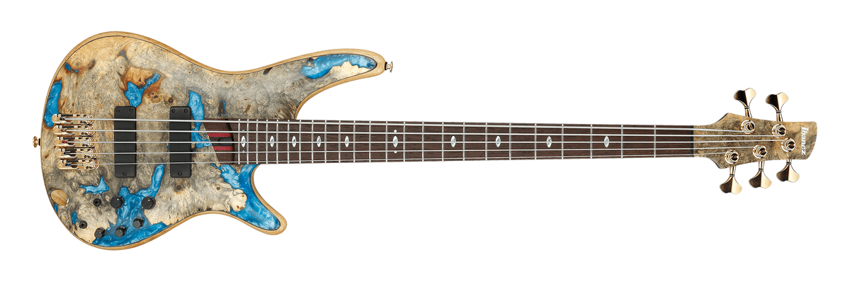 Ibanez bass 2021 top