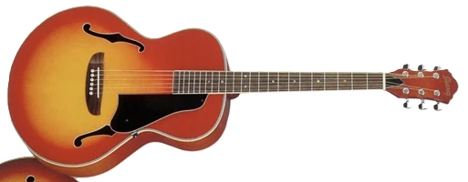 CR80 | Ibanez Wiki | Fandom