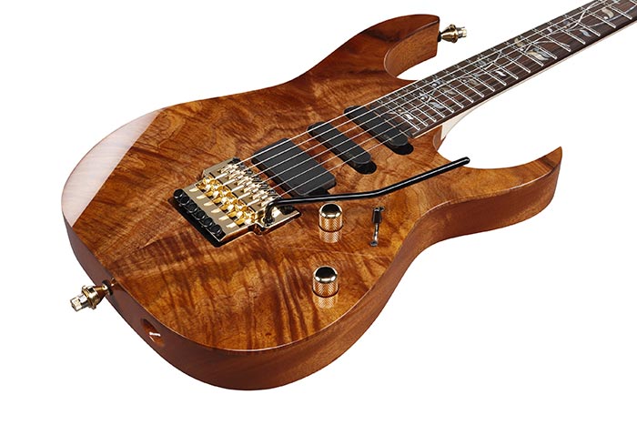 RG8560KE | Ibanez Wiki | Fandom