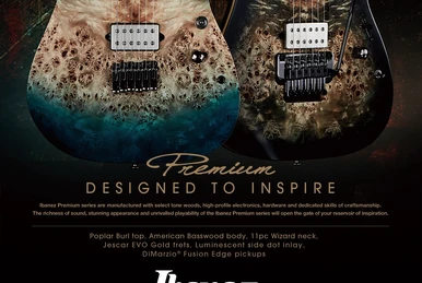 RG3021BR | Ibanez Wiki | Fandom