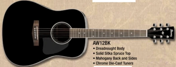 AW12 | Ibanez Wiki | Fandom