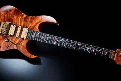 RG2720S | Ibanez Wiki | Fandom