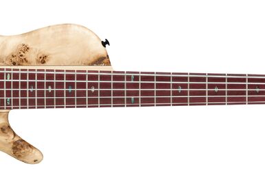SR30th5P | Ibanez Wiki | Fandom