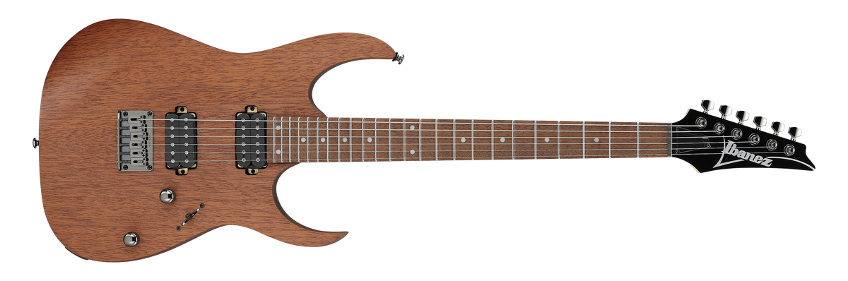 Ibanez rg421 mol price discount