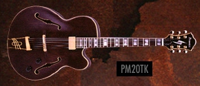 Ibanez pm20 online