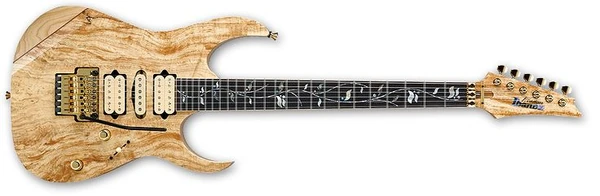 RG8570SP | Ibanez Wiki | Fandom