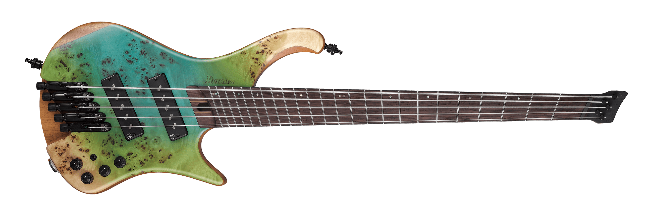 EHB1505MS | Ibanez Wiki | Fandom