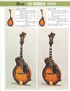 1973 Mandolin front-cover