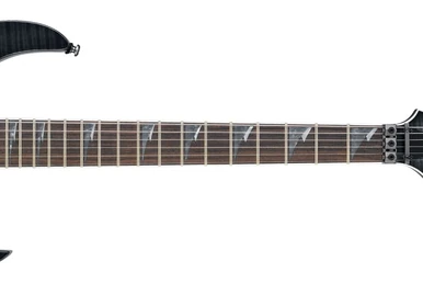 RGT42FX (2003–2004) | Ibanez Wiki | Fandom