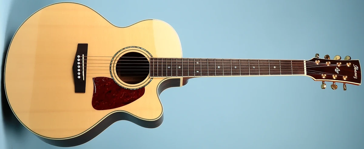 AJ307CE | Ibanez Wiki | Fandom