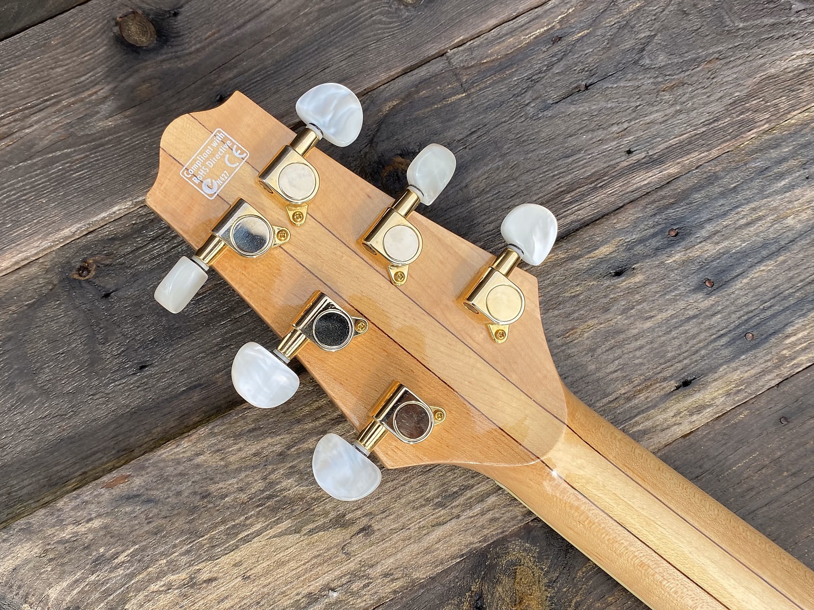 Amazon.com: Fender 0950816021-COMBO-DLX Acoustic Guitar