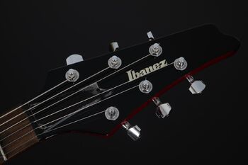 FRM100 | Ibanez Wiki | Fandom