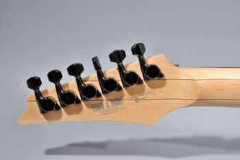 RG20063 | Ibanez Wiki | Fandom