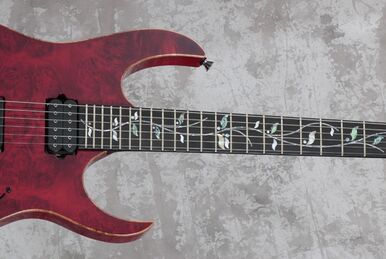 ギター Ibanez ssg371fm SRG371FM | Ibanez Wiki | Fandom