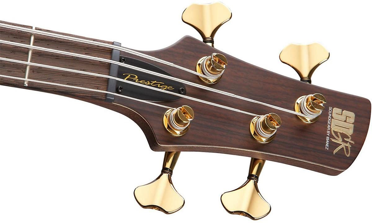 SR5006E | Ibanez Wiki | Fandom
