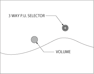 RGDIR6M | Ibanez Wiki | Fandom