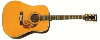 AW50 (disambiguation) | Ibanez Wiki | Fandom