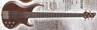 BTB405QM | Ibanez Wiki | Fandom