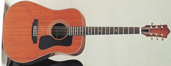 335 | Ibanez Wiki | Fandom