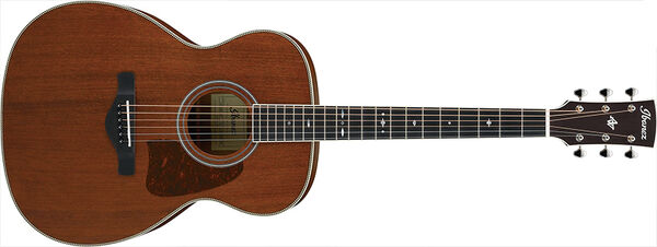 Ibanez avm10 best sale