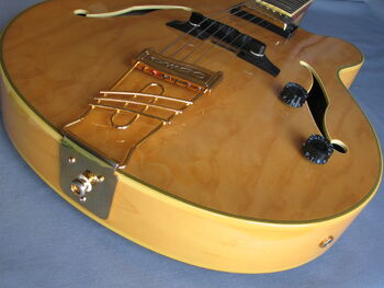 PM20 Ibanez Wiki Fandom