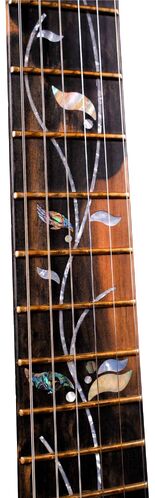 JCRG2007 Fretboard.jpg