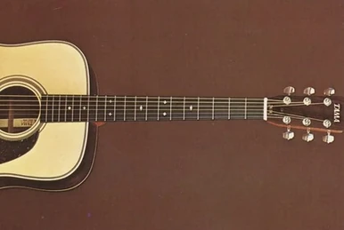 Ibanez アイバニーズ アコースティックギター ヴィンテージ 645 Ibanez 645 Vintage Acoustic Guitar ,Beautiful, W/Bag Made In