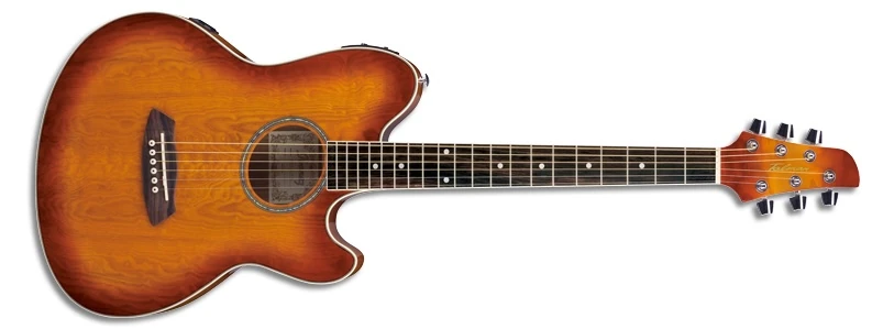 TCY20E | Ibanez Wiki | Fandom