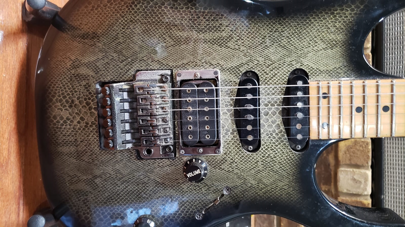 UCMD Reptilian | Ibanez Wiki | Fandom