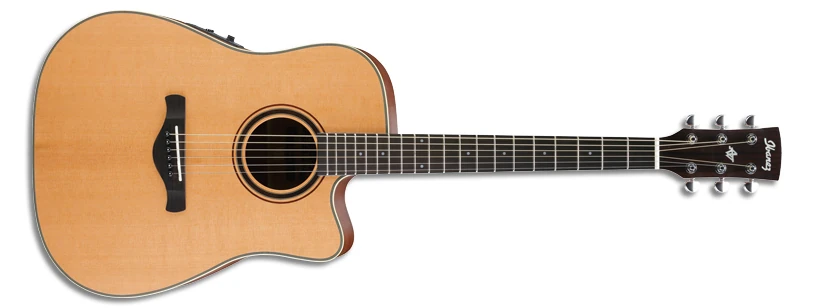 AW250ECE | Ibanez Wiki | Fandom