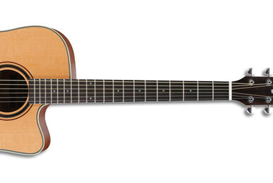 AW250 | Ibanez Wiki | Fandom