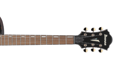AK81 | Ibanez Wiki | Fandom
