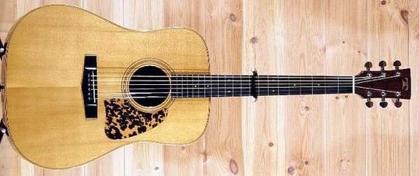 TG135 | Ibanez Wiki | Fandom