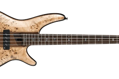 ギター Ibanez premium RG921WBB RG921WBB | Ibanez Wiki | Fandom