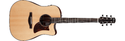 AAD400CE LGS.png